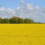 Finkenbusch By Interhome * Riepsdorf