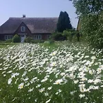 Finkenbusch By Interhome Riepsdorf