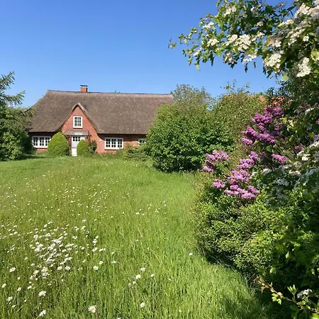 Finkenbusch By Interhome * Riepsdorf